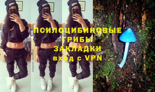 трава Верхний Тагил