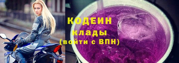 индика Верея