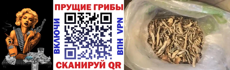 Галлюциногенные грибы ЛСД Мариинский Посад