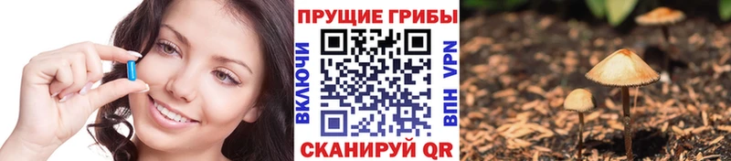 Галлюциногенные грибы мухоморы блэк спрут зеркало Мариинский Посад